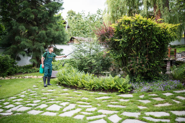 Professional Pest Control in Brewster, WA