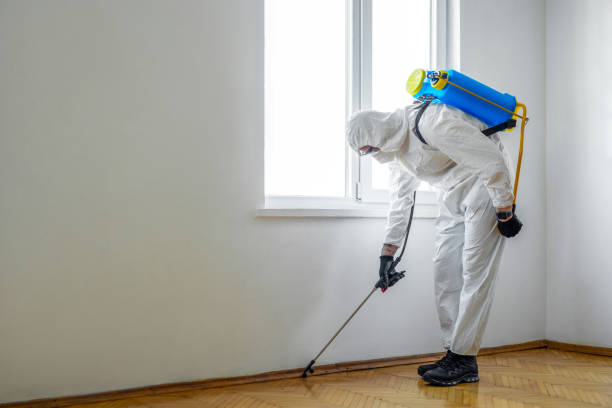 Pest Prevention Services in Brewster, WA