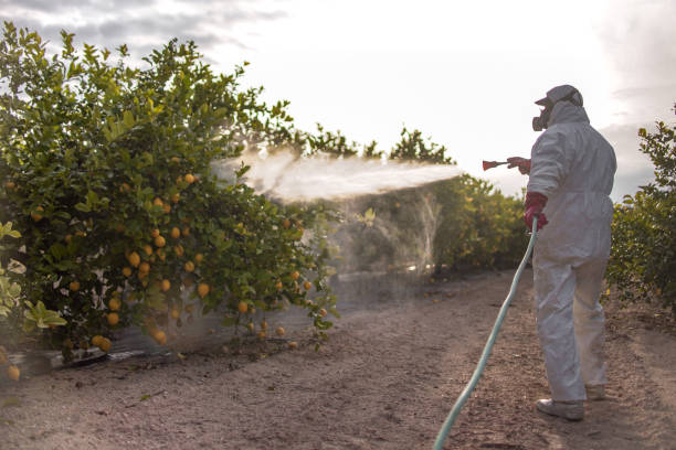 Best Affordable Pest Control Services  in Brewster, WA