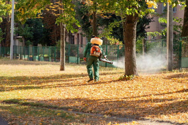 Best Pest Inspection Near Me  in Brewster, WA