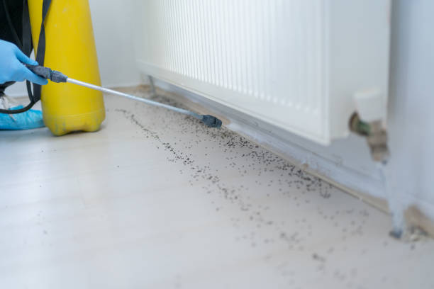 Best Pest Control Near Me in Brewster, WA