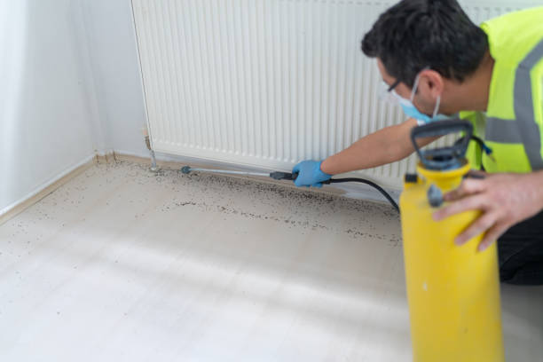 Best Affordable Pest Control Services  in Brewster, WA